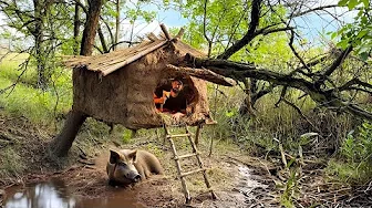 Building a Suspended Clay Shelter Primitive Survival Skills in the Wild