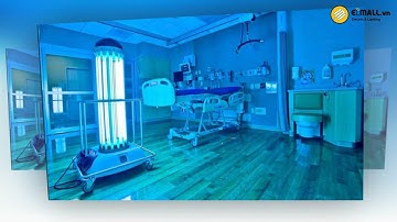 Bảng giá bóng đèn UV Philips 2023 Mới Nhất Hiện Nay