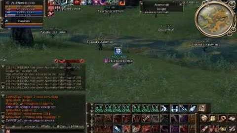 lineage 2: destroer as the pig vs bot