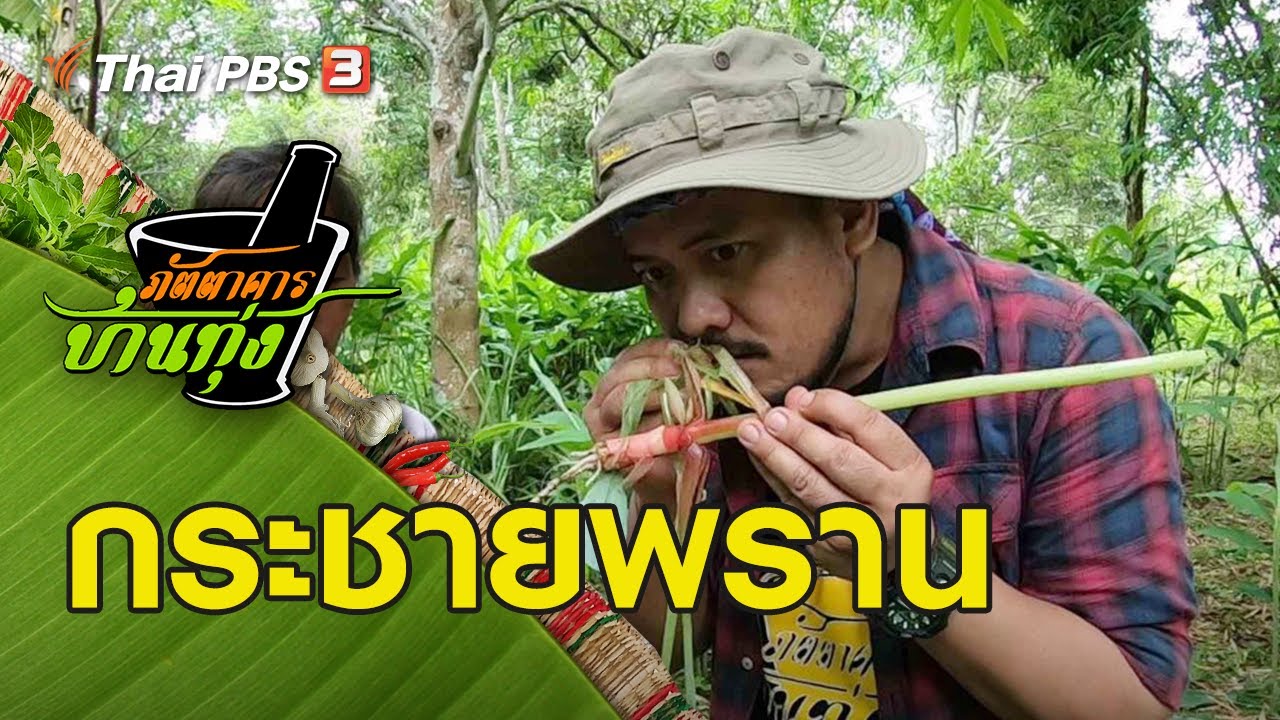 กระชายพราน : ภัตตาคารบ้านทุ่ง (31 ส.ค. 62)