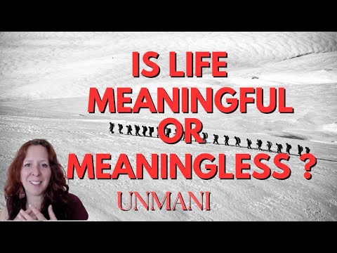 Is Life Meaningful