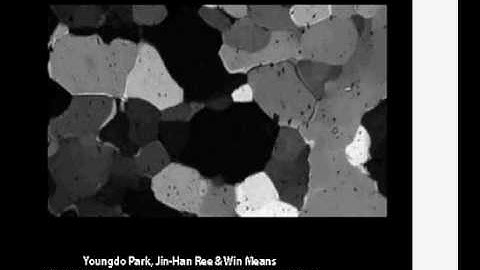 Subgrain boundary formation and grain boundary migration and post-deformational changes (SUNY)