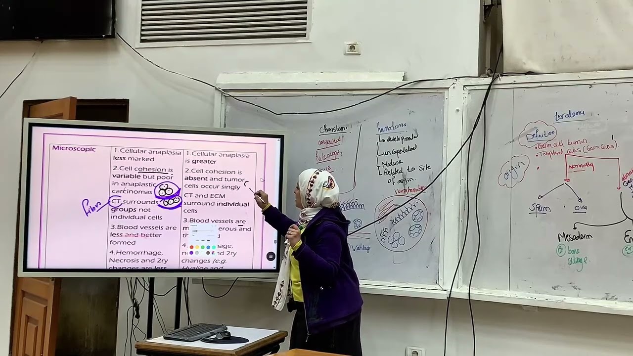 Neoplasia 6th lecture (2026)