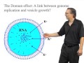 Fatty acid membrane growth in primitive cells - Jack Szostak (Harvard/HHMI)