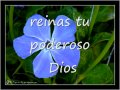 cancion cristiana SANTO Agnus Dei LETRA. Marco Barrientos