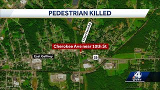 Pedestrian killed after being struck by car, deputies say