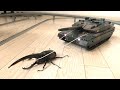 ヘラクレスオオカブトに戦車を引かせた結果...