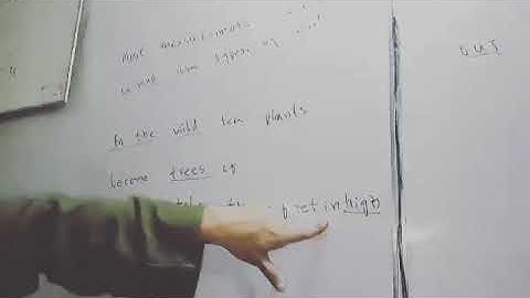 karachi university past paper solution error detection