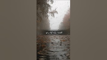 #قرآن #راحة_نفسية #تلاوة_خاشعة #متابعه #لايك