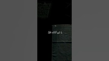 تلاوة هادئة ومريحة 🤍😴| قران كريم بصوت جميل جدا _قران كريم_راحة نفسية