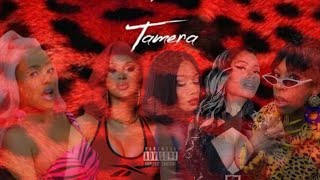Doja Cat - Tia Tamera (ft. Cardi B, Megan Thee Stallion, Nicki Minaj & Rico Nasty) [MASHUP]