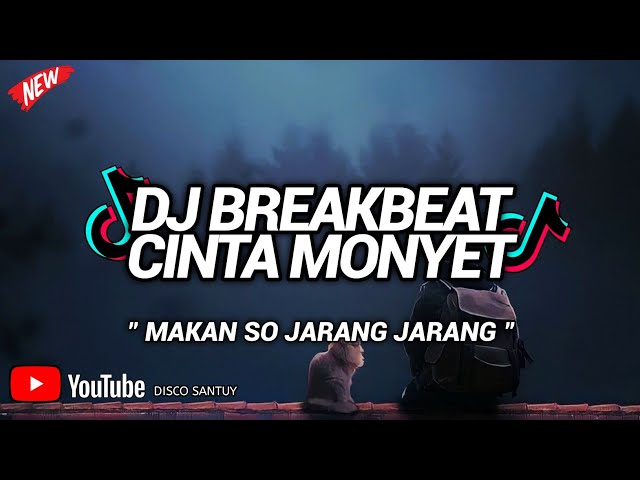 DJ BREAKBEAT MAKAN SO JARANG JARANG ( CINTA MONYET ) class=