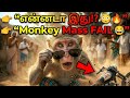 🤳 “Monkey Kumar Vlog – லுங்கியோட லைஃப் செட்டான கதைகள்!”
