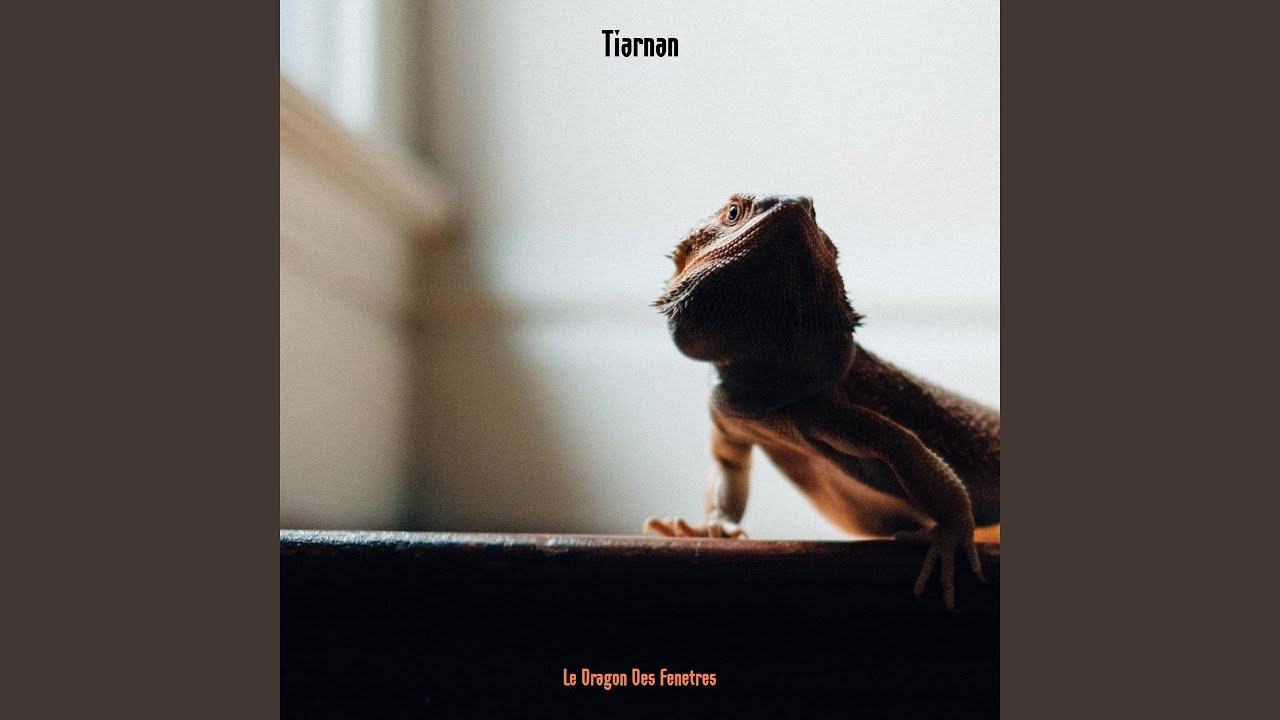 Ein Sarg Aus Hongkong