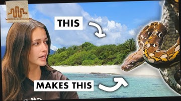 What is a Dwarf Retic... Geography [Part 3]