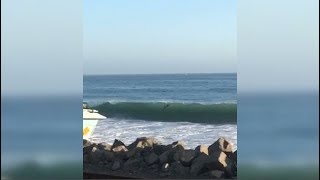 Huge Wave Hits Surfers
