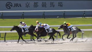 【ダディーズアイル、猛追を凌いで初勝利 ＆ 岩田望来騎手、同日3勝中の1勝目】 京都2Ｒ 3歳未勝利 2024.5.11