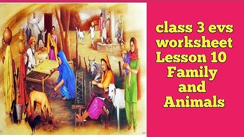 class 3rd EVS  lesson 10 Family and Animals worksheet|| Questions and Answers||