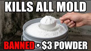 This $3 Powder Kills ALL Mold FOREVER. Why Is It Banned in 23 States?
