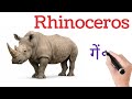 25 Wild Animals Name English in Hindi | जंगली जानवरों के नाम | Animal for kids | Jungle Animals Name
