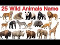 25 Wild Animals Name English in Hindi | जंगली जानवरों के नाम | Animal for kids | Jungle Animals Name