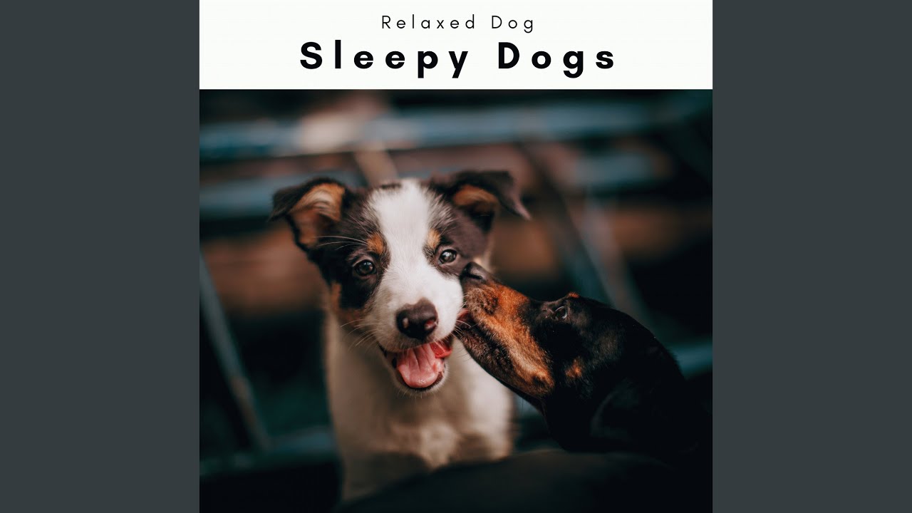 Enter Lands of Dog REM Sleep for Instant Rest pt. 1 YouTube