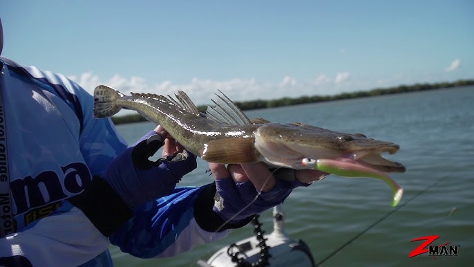 Soft Plastics 101 - Chapter 31 - How to Catch Flathead - High Tide