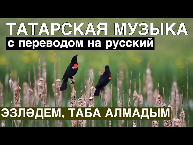 Татарские песни С ПЕРЕВОДОМ НА РУССКИЙ I ЭЗЛӘДЕМ, ТАБА АЛМАДЫМ / Я ИСКАЛА, НО НЕ НАШЛА