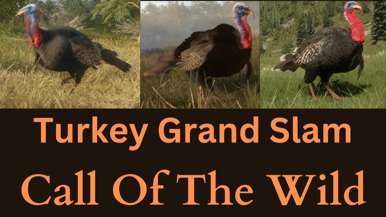 Call Of The Wild, Turkey Grand Slam!! YouTube