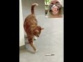 مبلي وساكن فالسفلي هههههههه