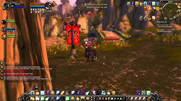 Heroes WoW 3.3.5 Review