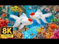 Mesmerizing Deep Sea Creatures in 8K HDR | Dolby Vision™