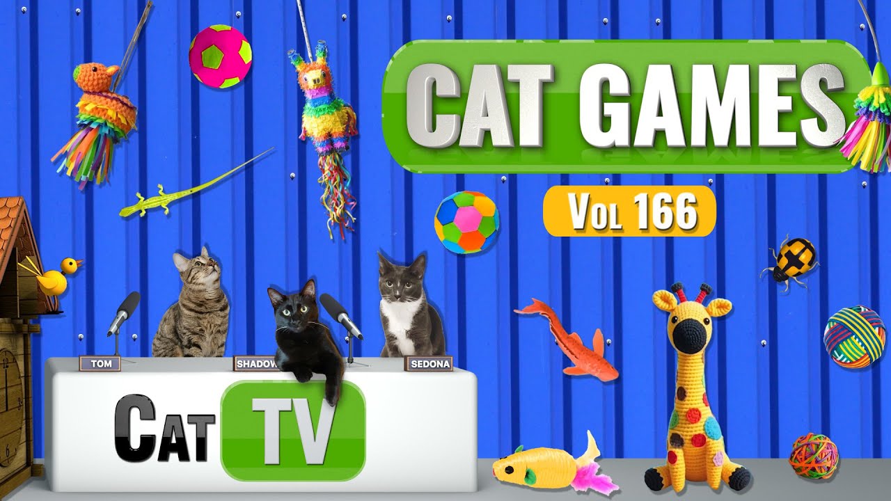 CAT Games | Ultimate Cat TV Compilation, том 166 | 8 ЧАСОВ 🐝🐞🦋🦎🦜🐜🐭🧵