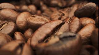 Roasted coffee bean - NO COPYRIGHT