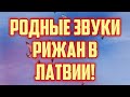 РОДНЫЕ ЗВУКИ РИЖАН В ЛАТВИИ! | КРИМИНАЛЬНАЯ ЛАТВИЯ