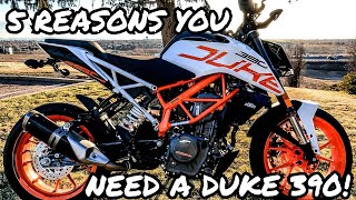 5 REASONS YOU SHOULD BUY A DUKE 390 | 2019 KTM DUKE 390 REVIEW | BEGINNER MOTORCYCLE