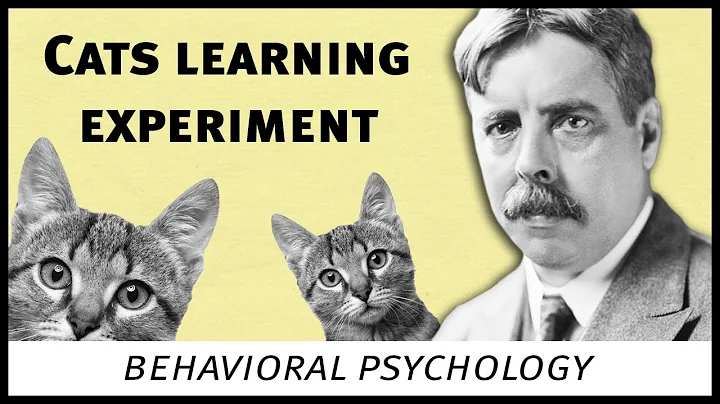Edward Thorndike cats experiment (behavioral psych...