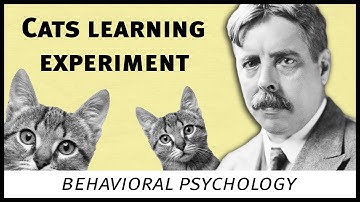 Edward Thorndike cats experiment (behavioral psychology)
