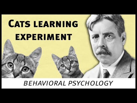 Edward Thorndike cats experiment (behavioral psychology)