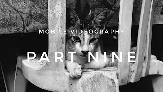 Mobile Videography ( Part 9 ) Subj : Hello Kitty, 2020 ( Short Clip - iPhone 7 Plus )