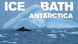 How to ICE BATH in ANTARCTICA