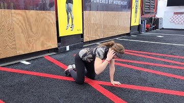 Quadruped T-Spine Rotation