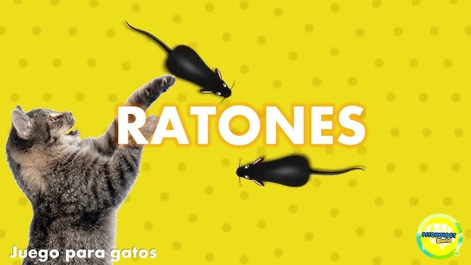 Videos para #gatos - #Laser 