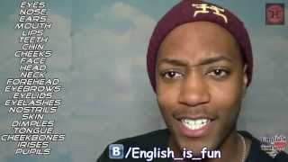 Body Parts (for Beginners) screenshot 4