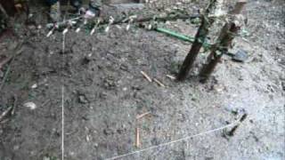 rambo first blood style spear trap