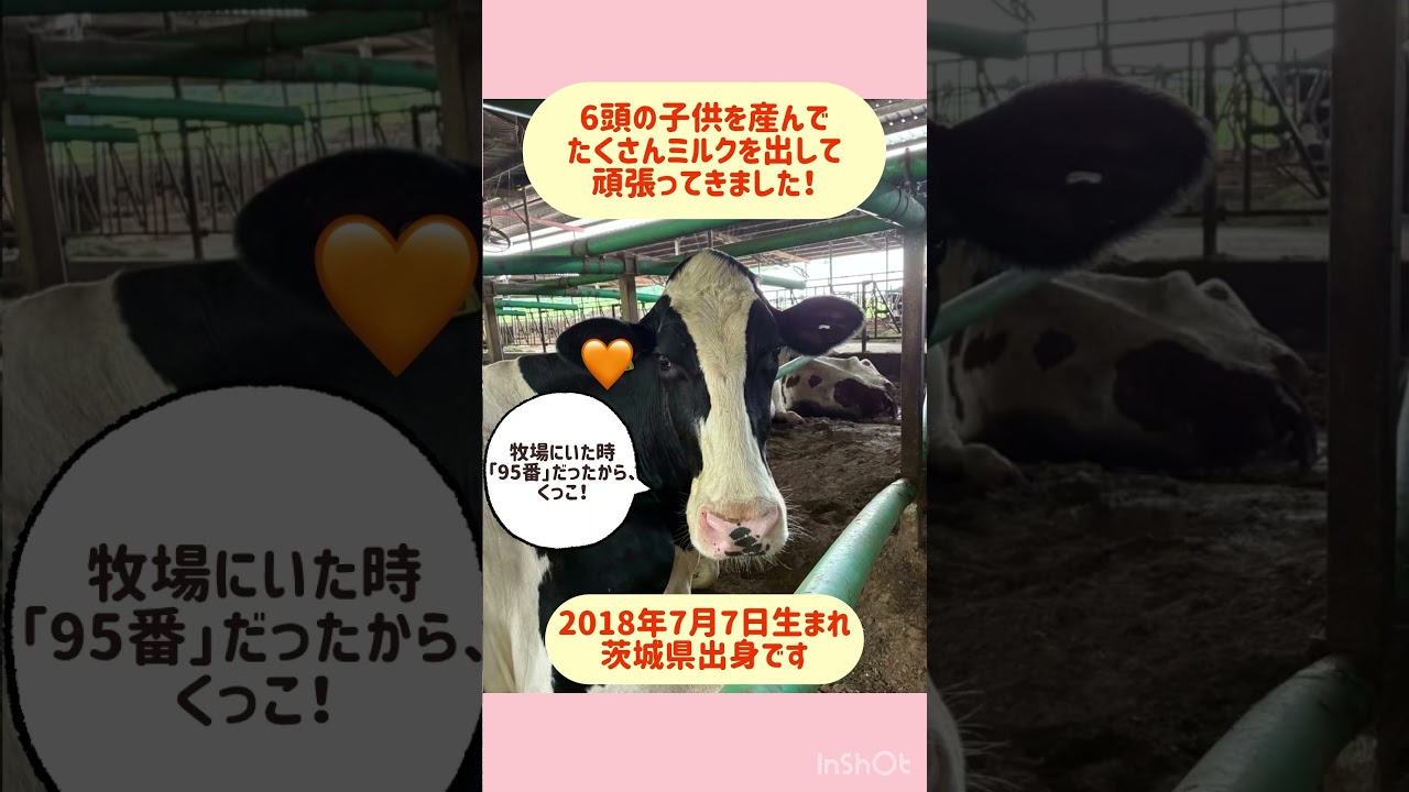 〜動物共栄の里山〜
