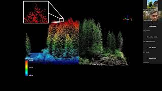 Data Skills: Detecting Changes in Vegetation Structure Following Fires Using Discrete-Return LiDAR