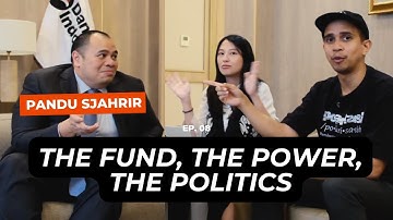 The Gamble of Danantara - Pandu Sjahrir
