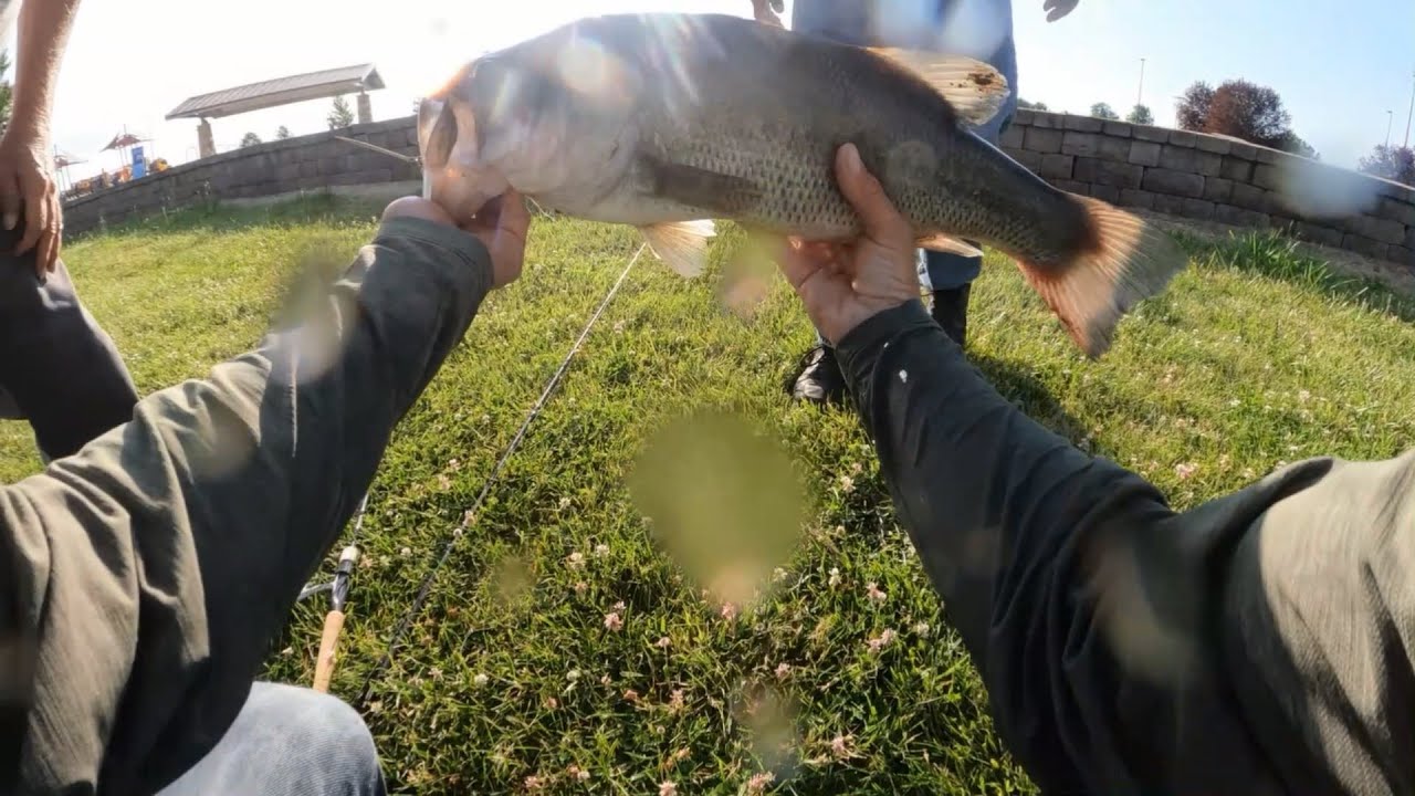 POV Monster Bass Action on Top Water Lure ! Worth A View !  