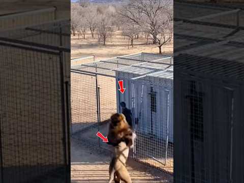 حين يضع الله رحمته في قلب غيرك فاعلم أن اللطيف قد تكف ل بك وسخ ر لك من لا تعلم  